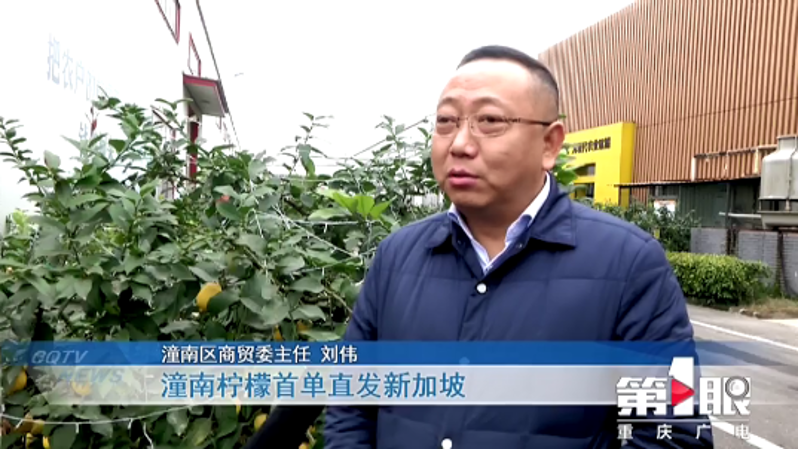 微信图片_20200120160144