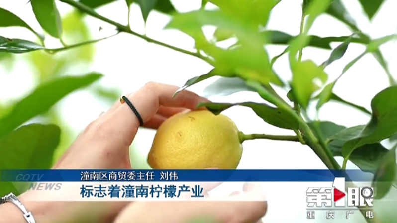 微信图片_20200120160149