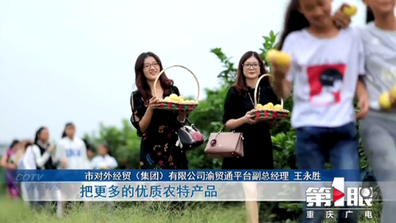 微信图片_20200120160407