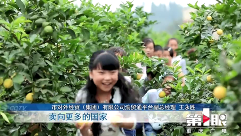 微信图片_20200120160423