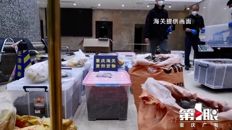 微信图片_20200413100722