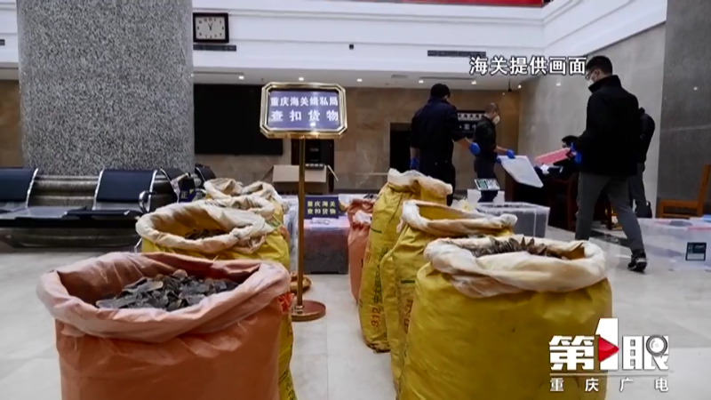 微信图片_20200413100724